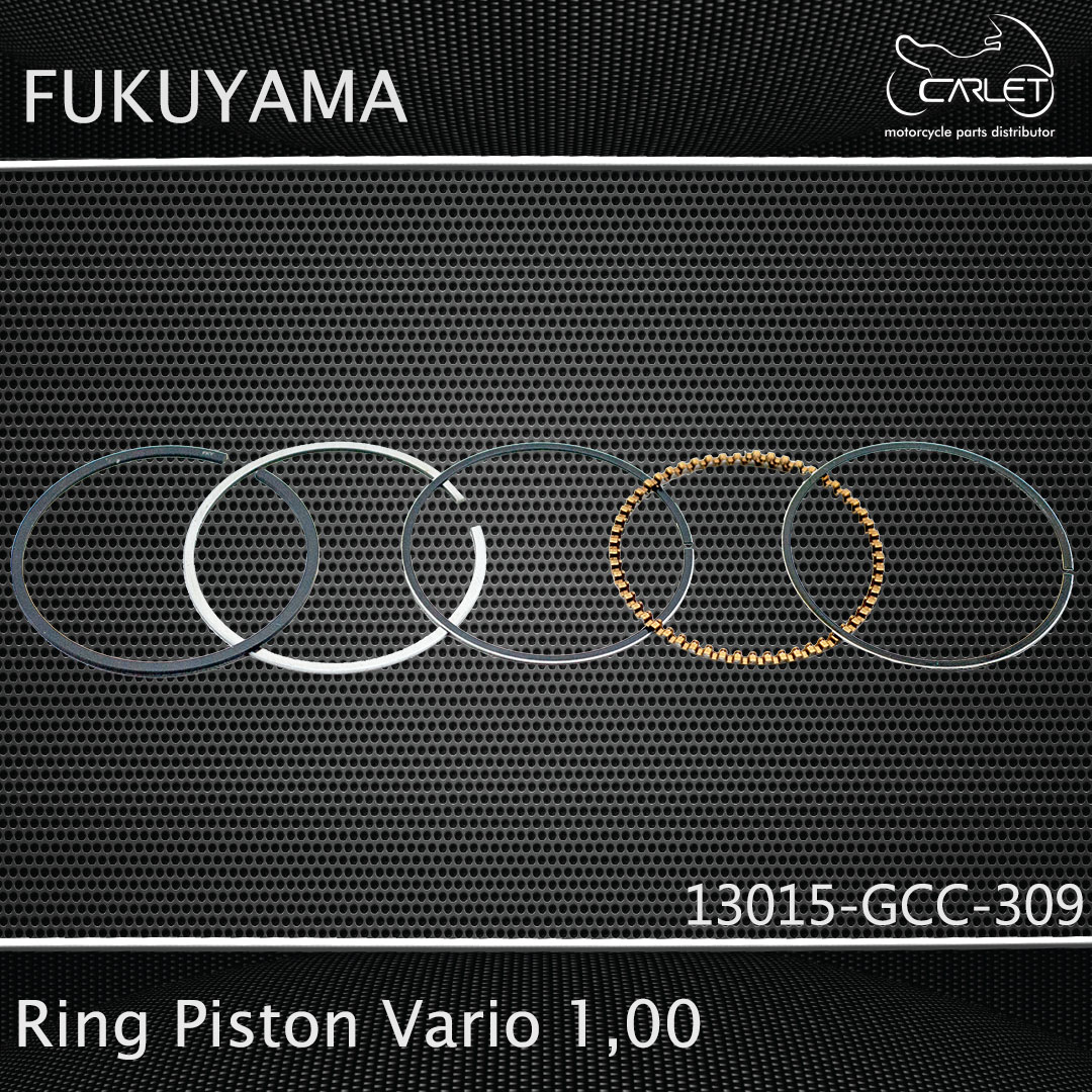 Fukuyama Ring Seher / Ring Piston Vario 110 / Vario Techno 110